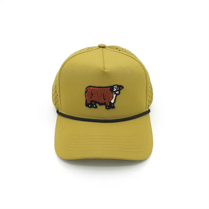 Casquettes de créateurs chics